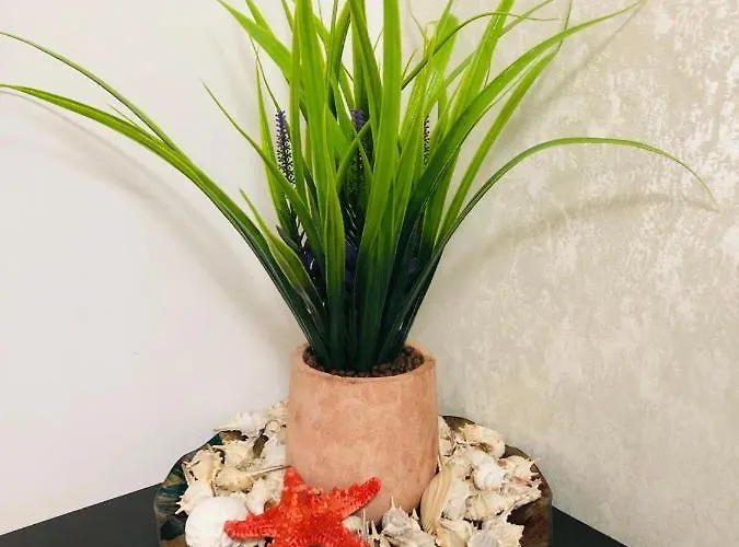 Apartamento Mamaia-nord Iuliana Năvodari